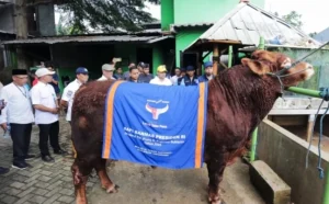 Hewan Kurban Presiden Prabowo