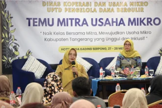 Temu Mitra Usaha