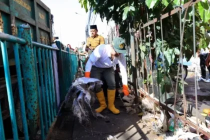 Wakil Wali Kota Tangerang Selatan Pilar